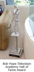 tv-hall-of-fame-award