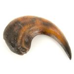 blacksparrowauctscififantauct-JP