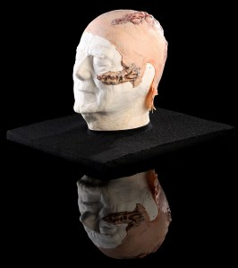 49937_Star_Wars_ROTJ_Anakin_Skywalker_Facial_appliances_and_Life_Cast_2_resize