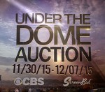 underthedomeauction
